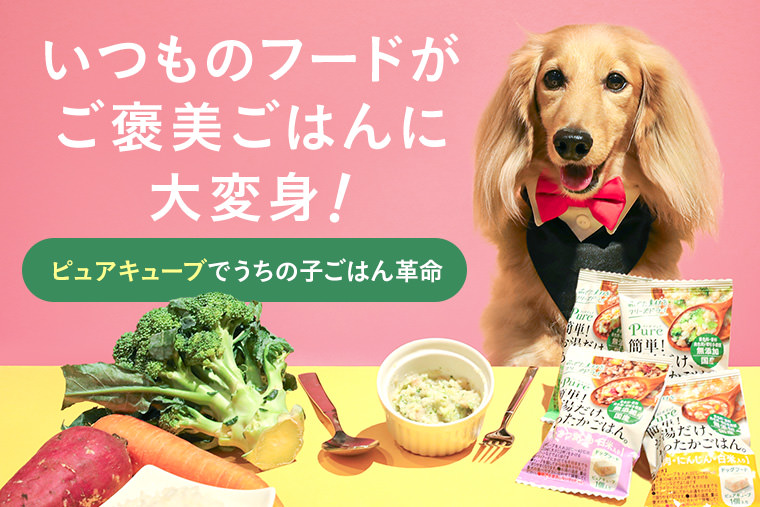 いつものフードがご褒美ごはんに大変身！ピュアキューブでうちの子ごはん革命