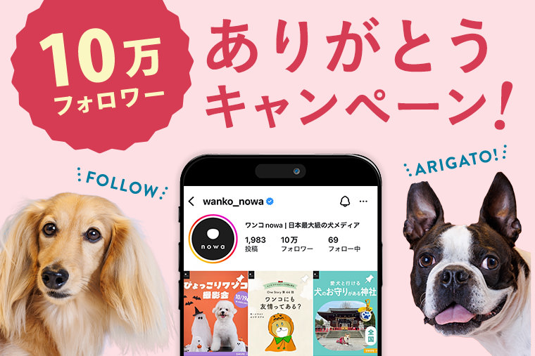 10万フォロワーありがとうキャンペーン！