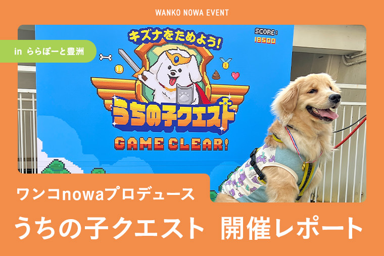 ワンコnowaプロデュース うちの子クエスト 開催レポート